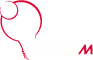 TestaFrancesco